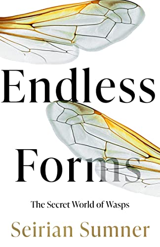 Endless Forms: The Secret World of Wasps von William Collins
